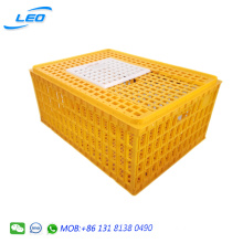 best price plastic transport crate for turkey with high strength and quality